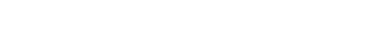 feature-item-1